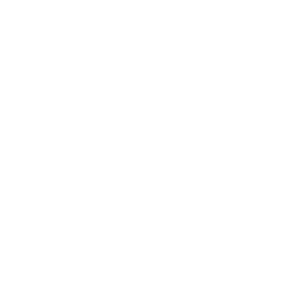 vidma logo app logo white 1