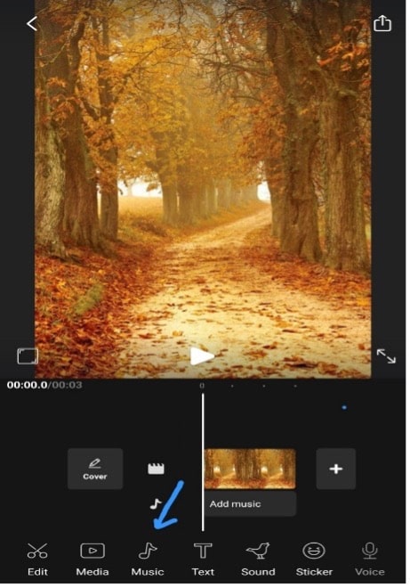 vidma video editor make lyrics videos free ios android app 3