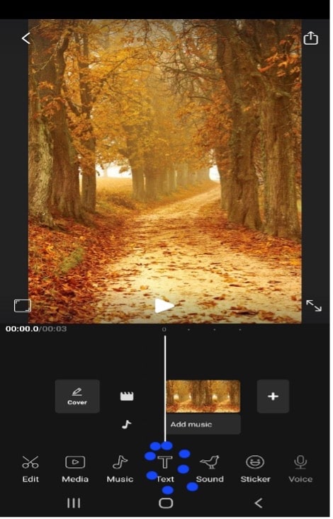 vidma video editor make lyrics videos free ios android app 4