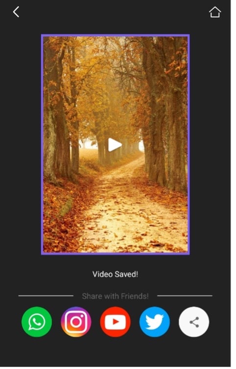 vidma video editor make lyrics videos free ios android app 6